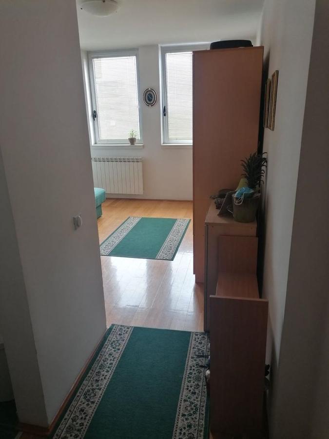 Appartement Bulevar Stan Na Dan à Novi Sad Extérieur photo